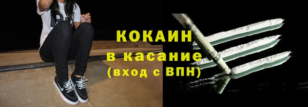 сатива Богданович