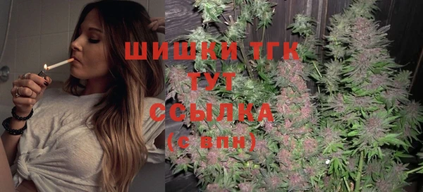 сатива Богданович