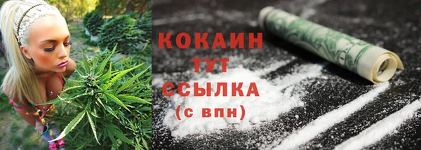 сатива Богданович