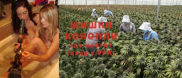 сатива Богданович
