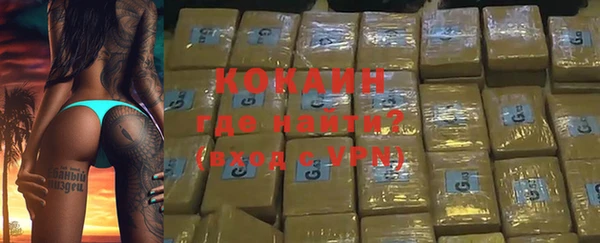 сатива Богданович