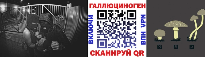 Галлюциногенные грибы Magic Shrooms  Купить закладки  Гагарин 